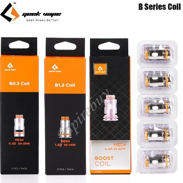 کویل سری بی گیک ویپ | GeekVape B Series Coil