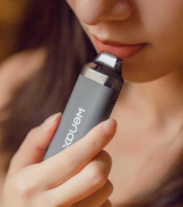 Geekvape Wenax C1 Pod