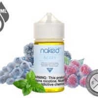 جویس نیکد بلوبری تمشک نعنا | NKD Berry Menthol Juice