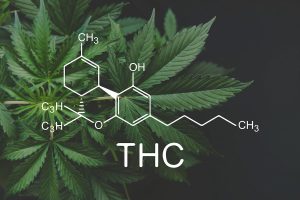 وبلاگ 194 ایجویس CBD دار