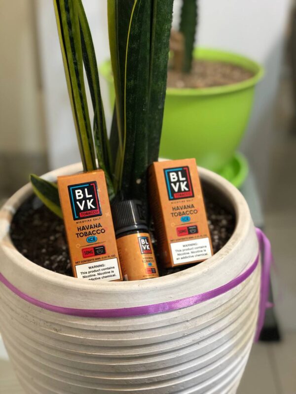 سالت-هاوانا-توباکو-یخ-بی-ال-وی-کی-blvk (6)