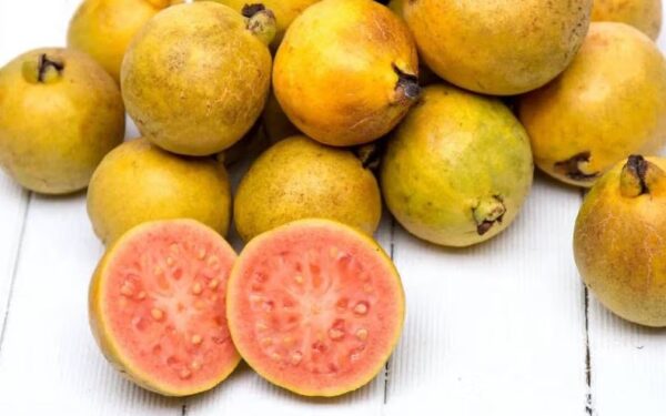 جویس-گوآوا-یخ-نستی-nasty-liq-quava-ice-juic