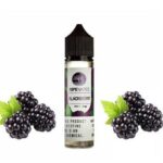 جویس بلک بری رایپ ویپز | Ripe Vapes BlackBerry Juice