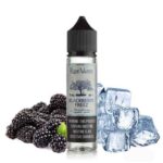 جویس تمشک سیاه و یخ رایپ ویپز | Ripe Vapes BlackBerry Freez Juice