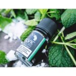 جویس سالت بی ال وی کی نعنایی | Blvk Unicorn Spearmint saltnic