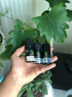 سالت وپستا یخی نعنایی موریش | Moriesh Puff Vapesta Original SaltNic - تصویر 2