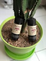 جویس سان خوان رایپ ویپز 120 میل | Ripe Vapes San Juan 120 mil - تصویر 2