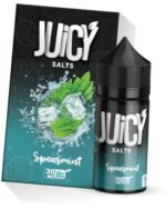 جوس سالت نستی نعنا یخ | Nasty juicy Spearmint salt nic - تصویر 2